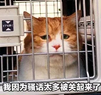 微信近期斗图恶搞表情2020/9/2