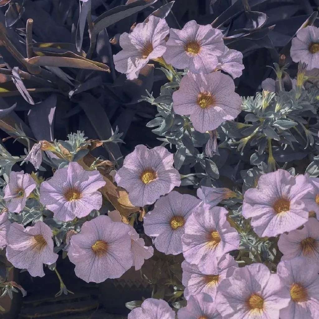 阳光简洁文艺微信朋友圈配图