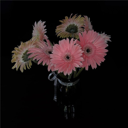 气质清新热潮文艺爽朗干净舒心好心情微信朋友圈配图