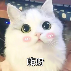 嗨呀动态微信表情包