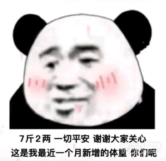 微信愣住熊猫头聊天表情包