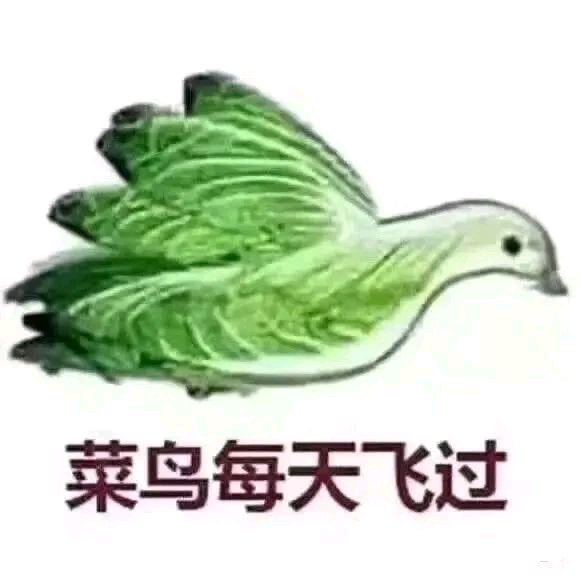 微信聊天傻屌熊猫头表情包