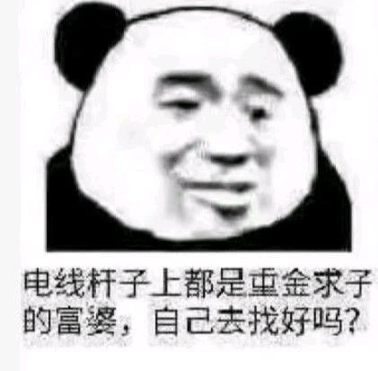 微信聊天傻屌熊猫头表情包