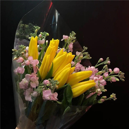 气质清新热潮文艺爽朗干净舒心好心情微信朋友圈配图