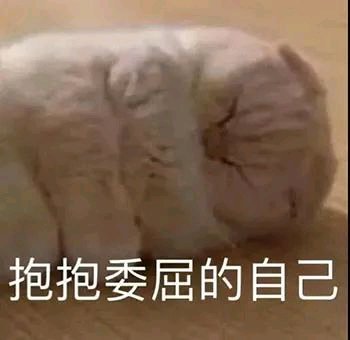 微信近期斗图恶搞表情2020/9/2