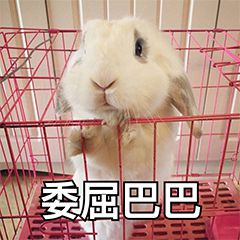 难过委屈系列的微信表情包