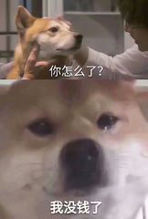 贫穷到极致的微信表情包