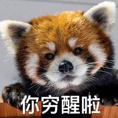 贫穷到极致的微信表情包