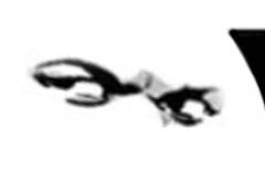 聊天斗图微信表情包