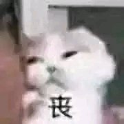 微信近期斗图恶搞表情2020/9/3（二）