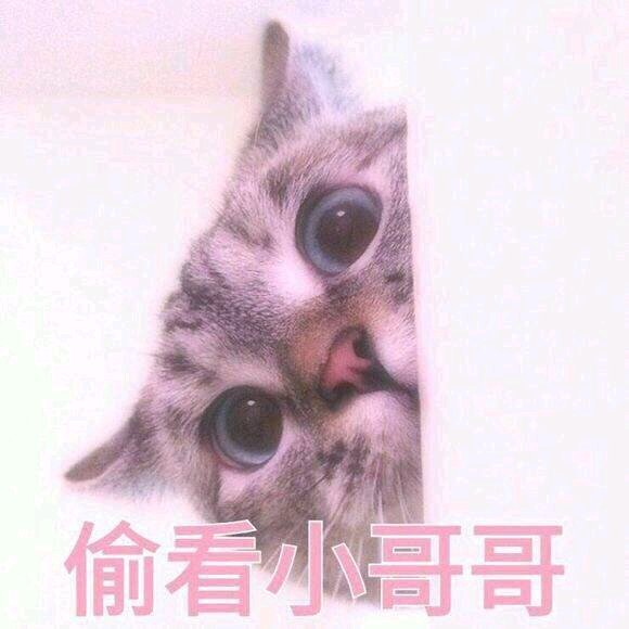 微信近期斗图恶搞表情2020/9/3（二）