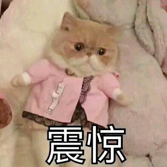 微信近期斗图恶搞表情2020/9/3（二）