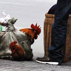 回家的沙雕搞笑微信表情包