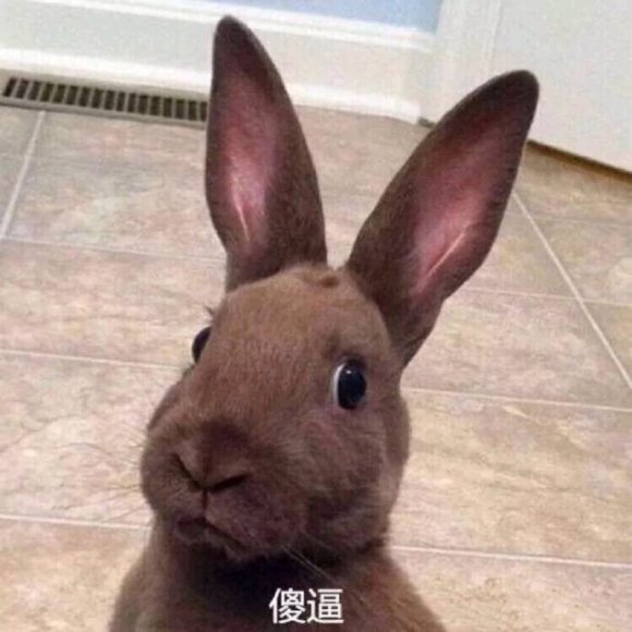 微信近期斗图恶搞表情2020/9/3（二）