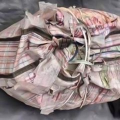 回家的沙雕搞笑微信表情包