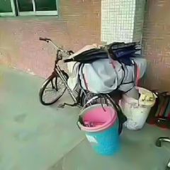 回家的沙雕搞笑微信表情包