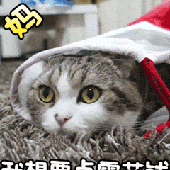 贫穷到极致的微信表情包