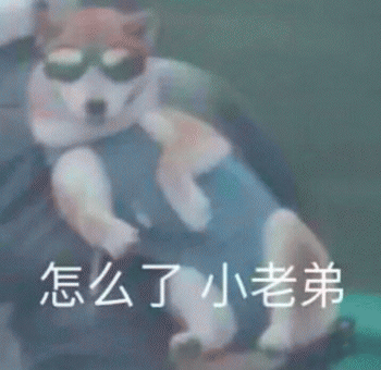 狗狗的沙雕日常斗图微信表情包