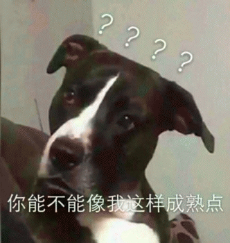 狗狗的沙雕日常斗图微信表情包