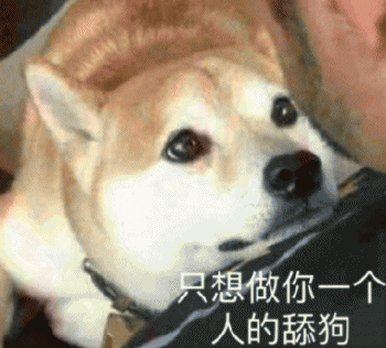 狗狗的沙雕日常斗图微信表情包