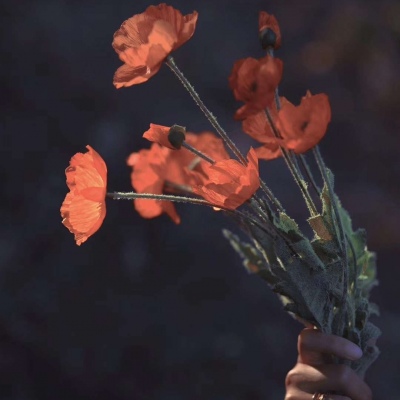 适合爸爸妈妈的风景微信头像