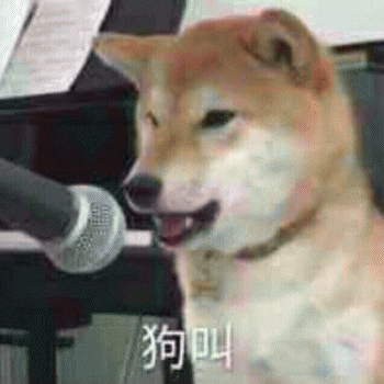 狗狗的沙雕日常斗图微信表情包