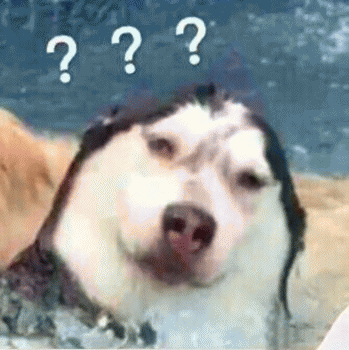 狗狗的沙雕日常斗图微信表情包