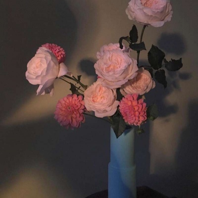 适合爸爸妈妈的风景微信头像