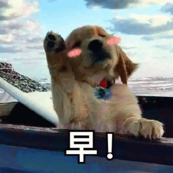 狗狗的沙雕日常斗图微信表情包