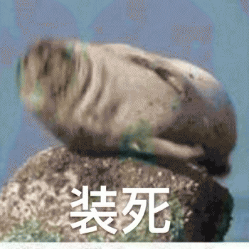 狗狗的沙雕日常斗图微信表情包