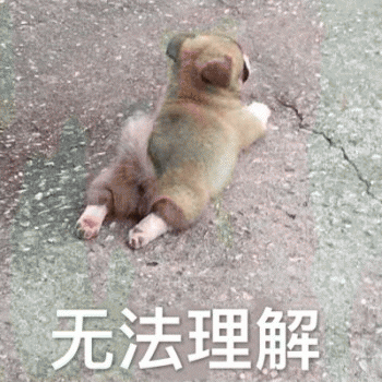 狗狗的沙雕日常斗图微信表情包