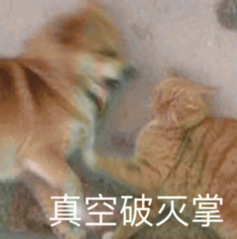 狗狗的沙雕日常斗图微信表情包