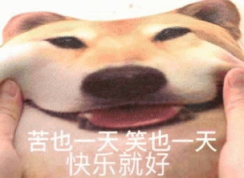 狗狗的沙雕日常斗图微信表情包