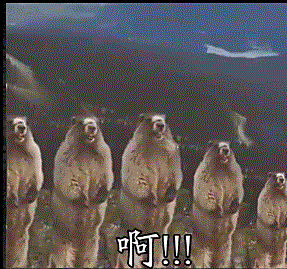 不要脸微信聊天表情包