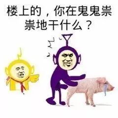 不要脸微信聊天表情包