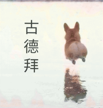 狗狗的沙雕日常斗图微信表情包