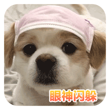 狗狗的沙雕日常斗图微信表情包