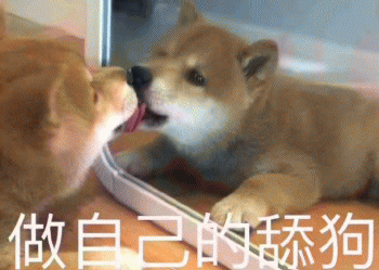 狗狗的沙雕日常斗图微信表情包