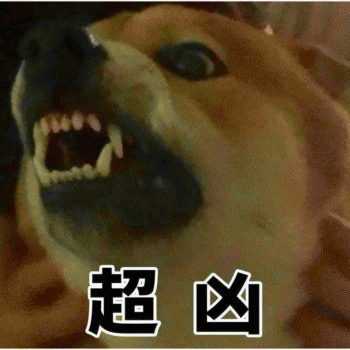 狗狗的沙雕日常斗图微信表情包