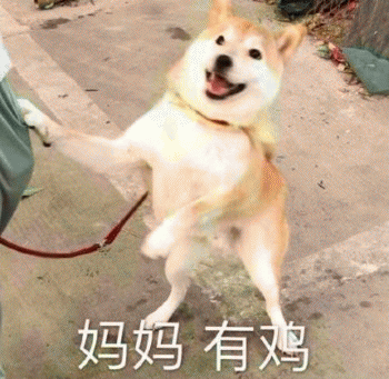 狗狗的沙雕日常斗图微信表情包