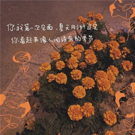艺术感唯美带搞笑文字微信聊天背景图