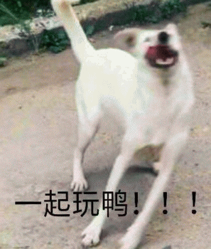 狗狗的沙雕日常斗图微信表情包