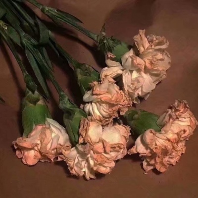 适合爸爸妈妈的风景微信头像