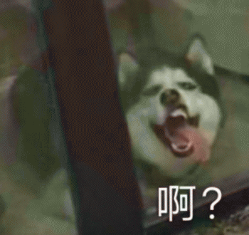 狗狗的沙雕日常斗图微信表情包