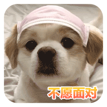 狗狗的沙雕日常斗图微信表情包