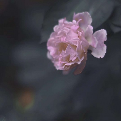 适合爸爸妈妈的风景微信头像