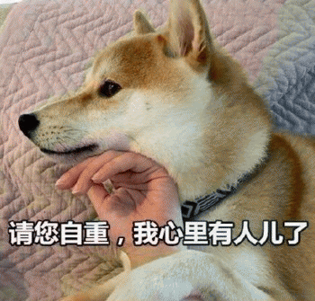 狗狗的沙雕日常斗图微信表情包