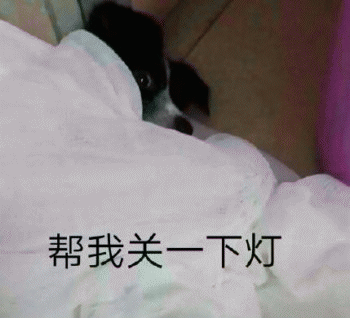 狗狗的沙雕日常斗图微信表情包