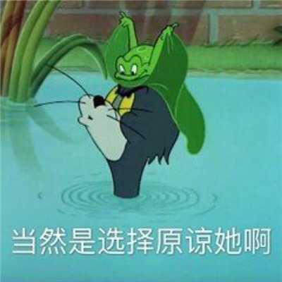 新出炉搞笑带字经典聊天微信表情包