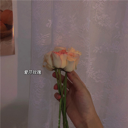 带字好看唯美个性生活微信聊天背景图